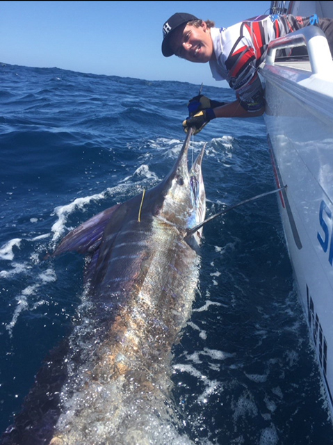 ANGLER: Nathan Wilson SPECIES: Striped Marlin WEIGHT: Est. 70kgs LURE: JB Lures 8" Little Dingo